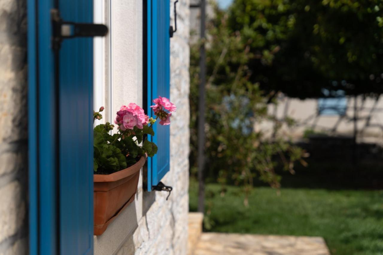 Villa Daulos Novigrad Istria 외부 사진