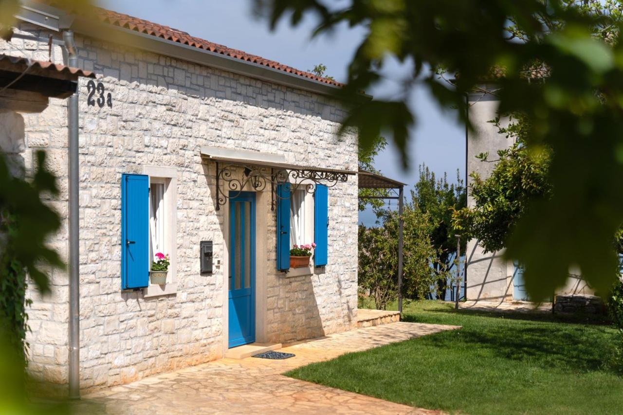 Villa Daulos Novigrad Istria 외부 사진