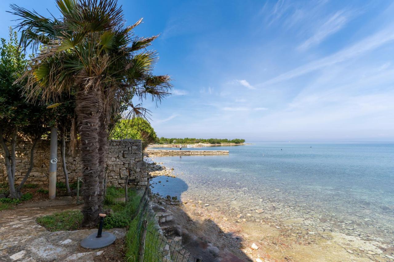 Villa Daulos Novigrad Istria 외부 사진