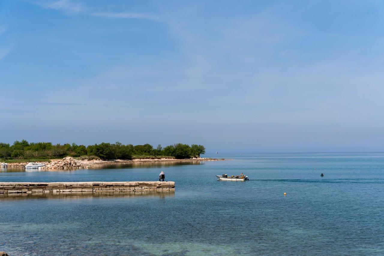 Villa Daulos Novigrad Istria 외부 사진