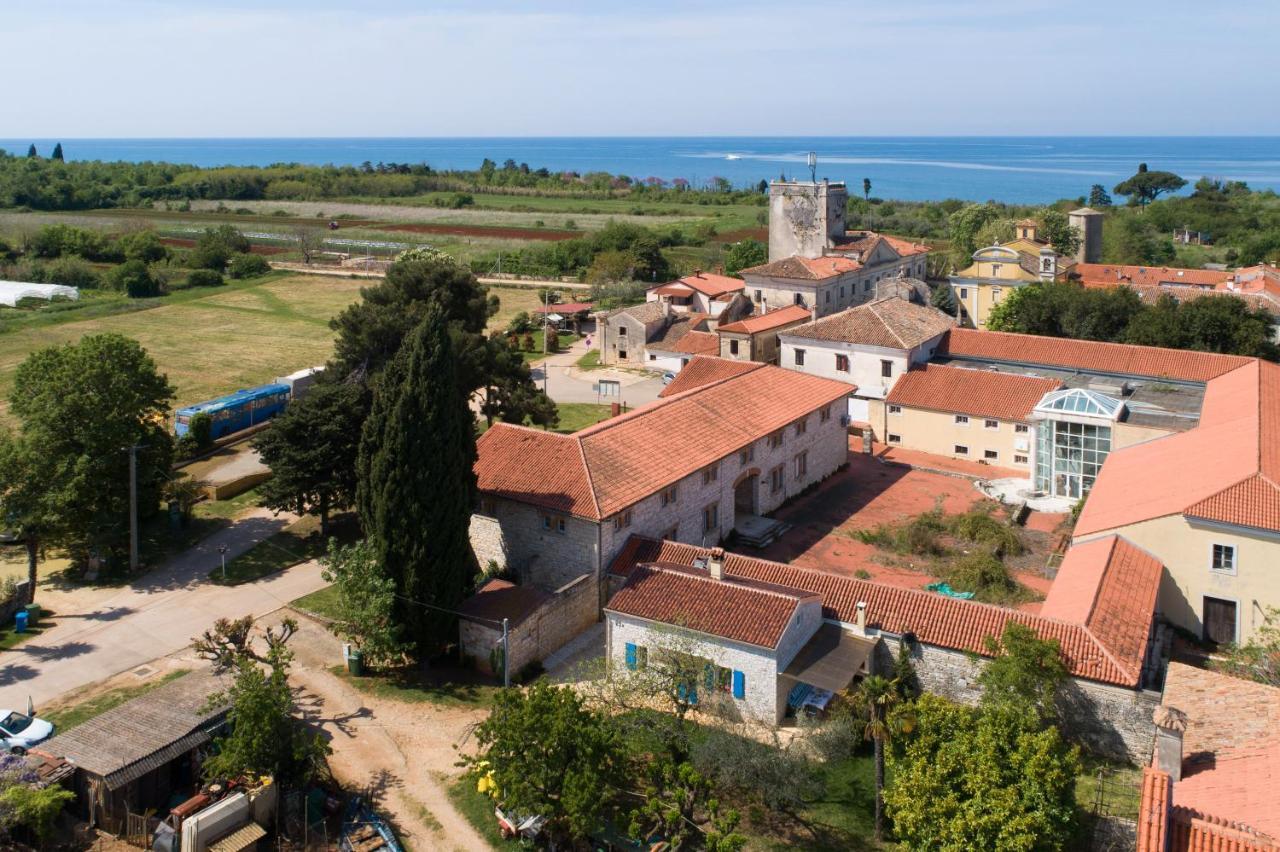 Villa Daulos Novigrad Istria 외부 사진