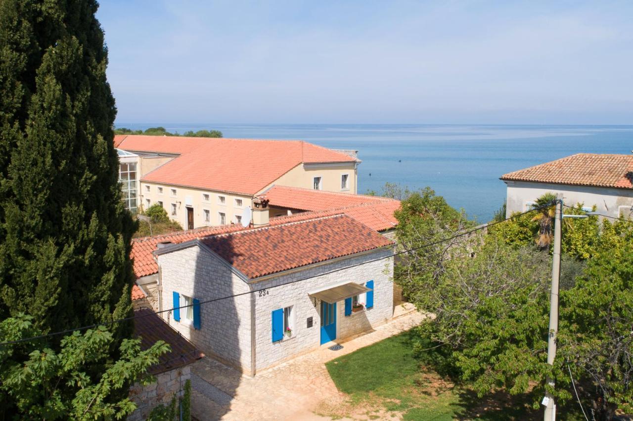 Villa Daulos Novigrad Istria 외부 사진