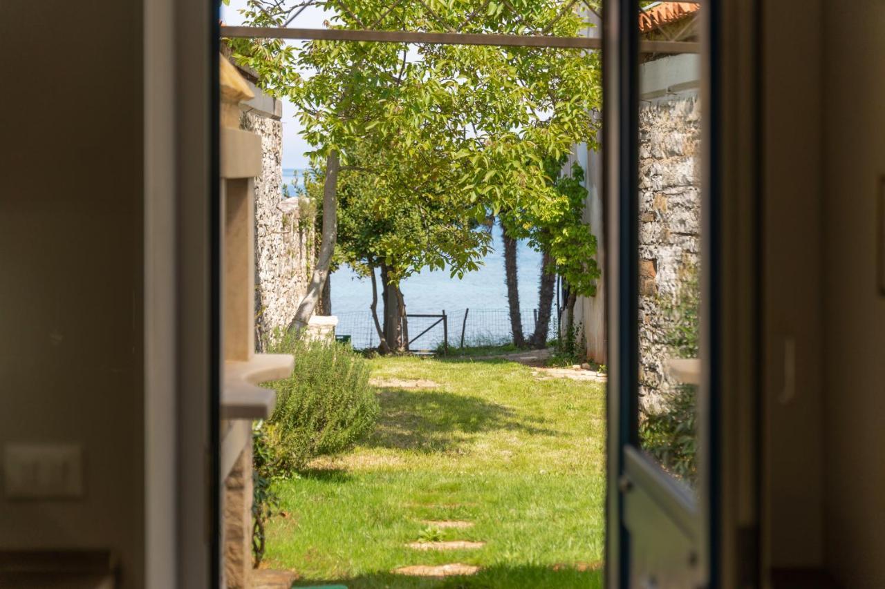 Villa Daulos Novigrad Istria 외부 사진