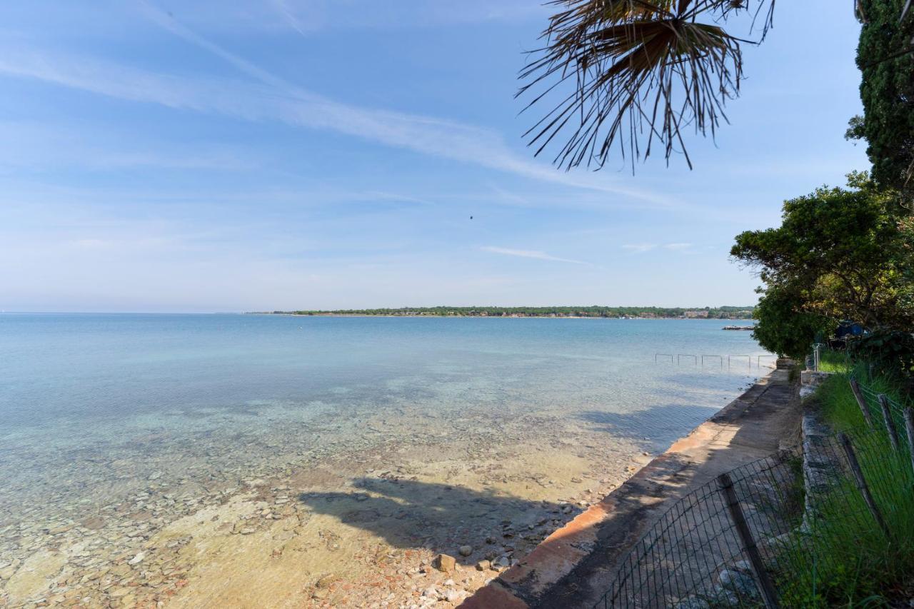 Villa Daulos Novigrad Istria 외부 사진